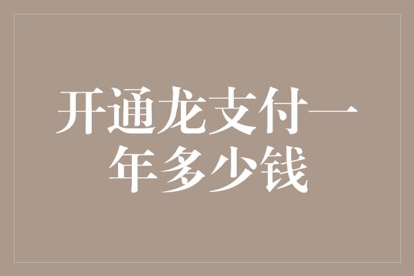 开通龙支付一年多少钱