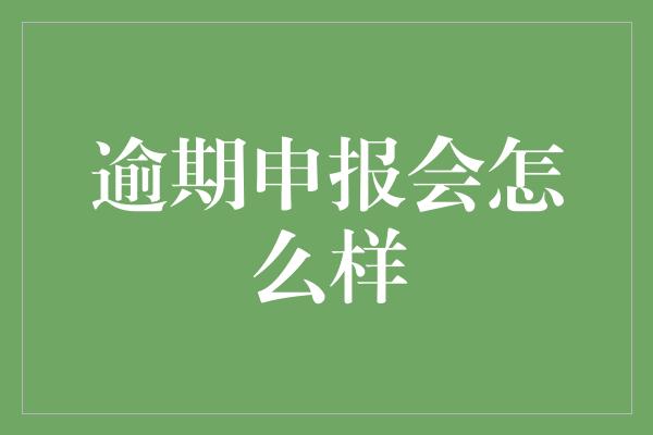 逾期申报会怎么样